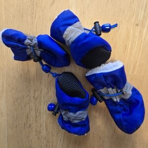 Blue and Gray Dog Booties